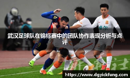 武汉足球队在锦标赛中的团队协作表现分析与点评